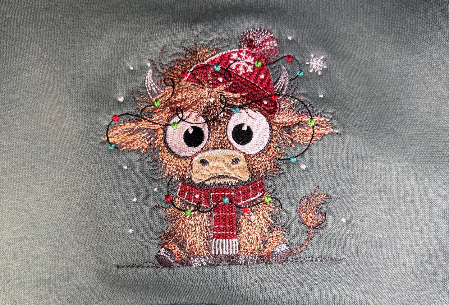 Highland Lights Youth Hoodie