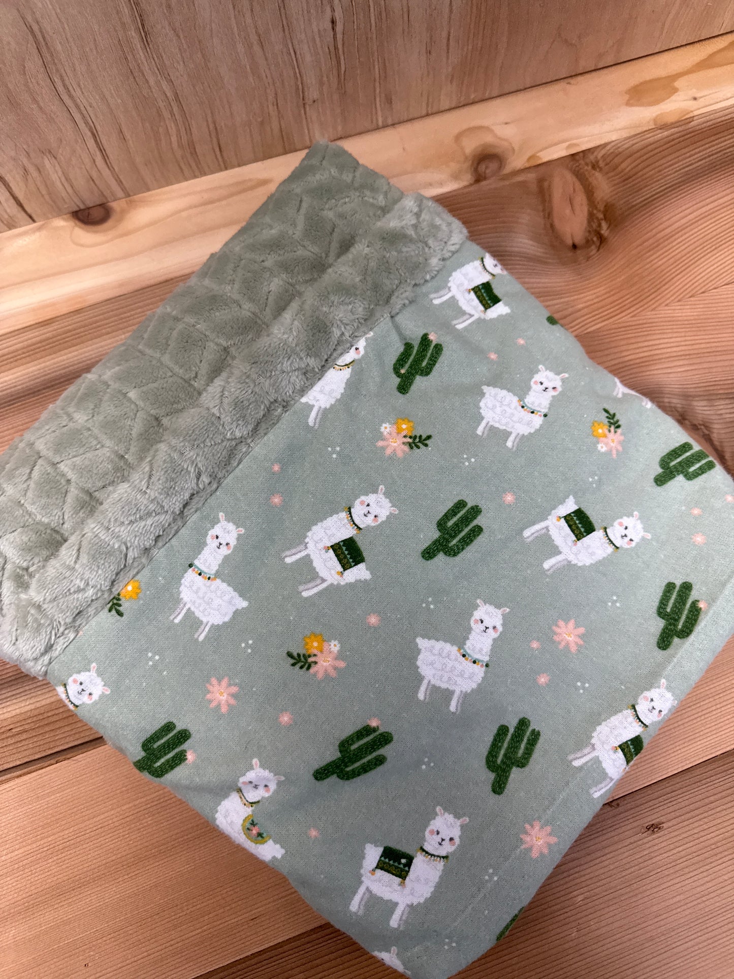 Minky Blankets