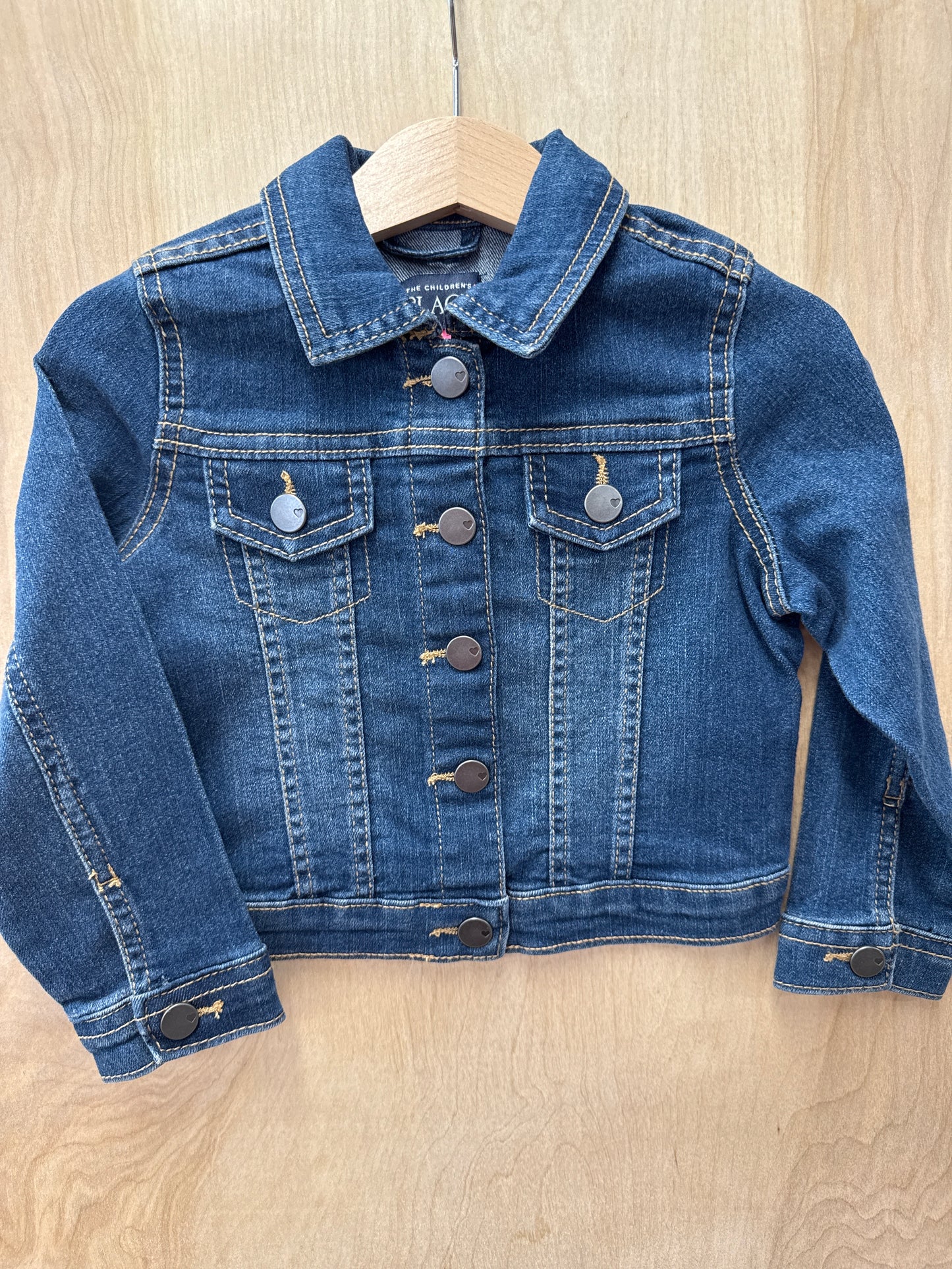 Embroidered Cactus Denim Jacket Toddler
