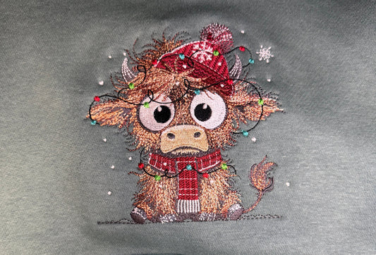 Highland Lights Youth Hoodie